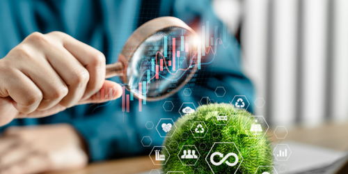 信息技术咨询服务 让生态产品价值有量有据